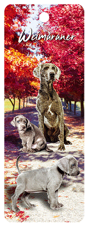 3D Dogs Bookmarks With Tassel