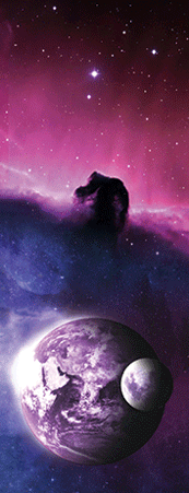 Pack of 5 x 3D Bookmarks LENTICULAR Book Marks Aussie Australian Theme Animals Souvenirs - fair-dinkum-gifts