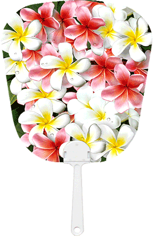 3D Fan Aussie Animals Australian Themes Souvenir Fans - fair-dinkum-gifts