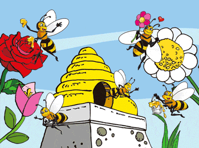 KIDS 3D Placemats Pack of 2 Australia 3D Lenticular Printed Aussie Animals Wildlife Designs - fair-dinkum-gifts