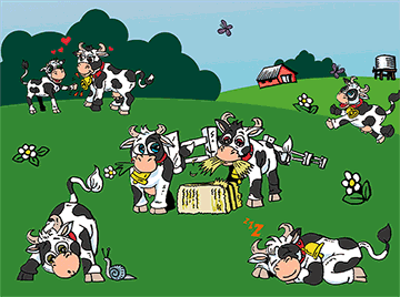 KIDS 3D Placemats Pack of 2 Australia 3D Lenticular Printed Aussie Animals Wildlife Designs - fair-dinkum-gifts