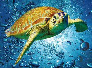 3D Placemats Pack of 2 Australia 3D Lenticular Printed Aussie Animals Wildlife Designs - fair-dinkum-gifts