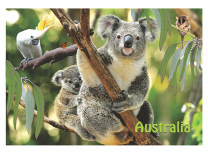 Microfibre Teatowels Australian Designs