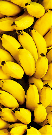 Pack of 5 x 3D Bookmarks LENTICULAR Book Marks Aussie Australian Theme Animals Souvenirs - fair-dinkum-gifts