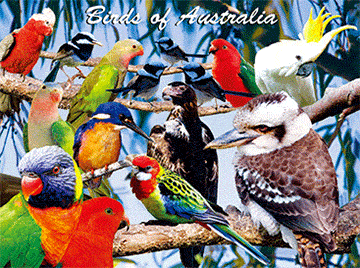 3D Placemats Pack of 2 Australia 3D Lenticular Printed Aussie Animals Wildlife Designs - fair-dinkum-gifts