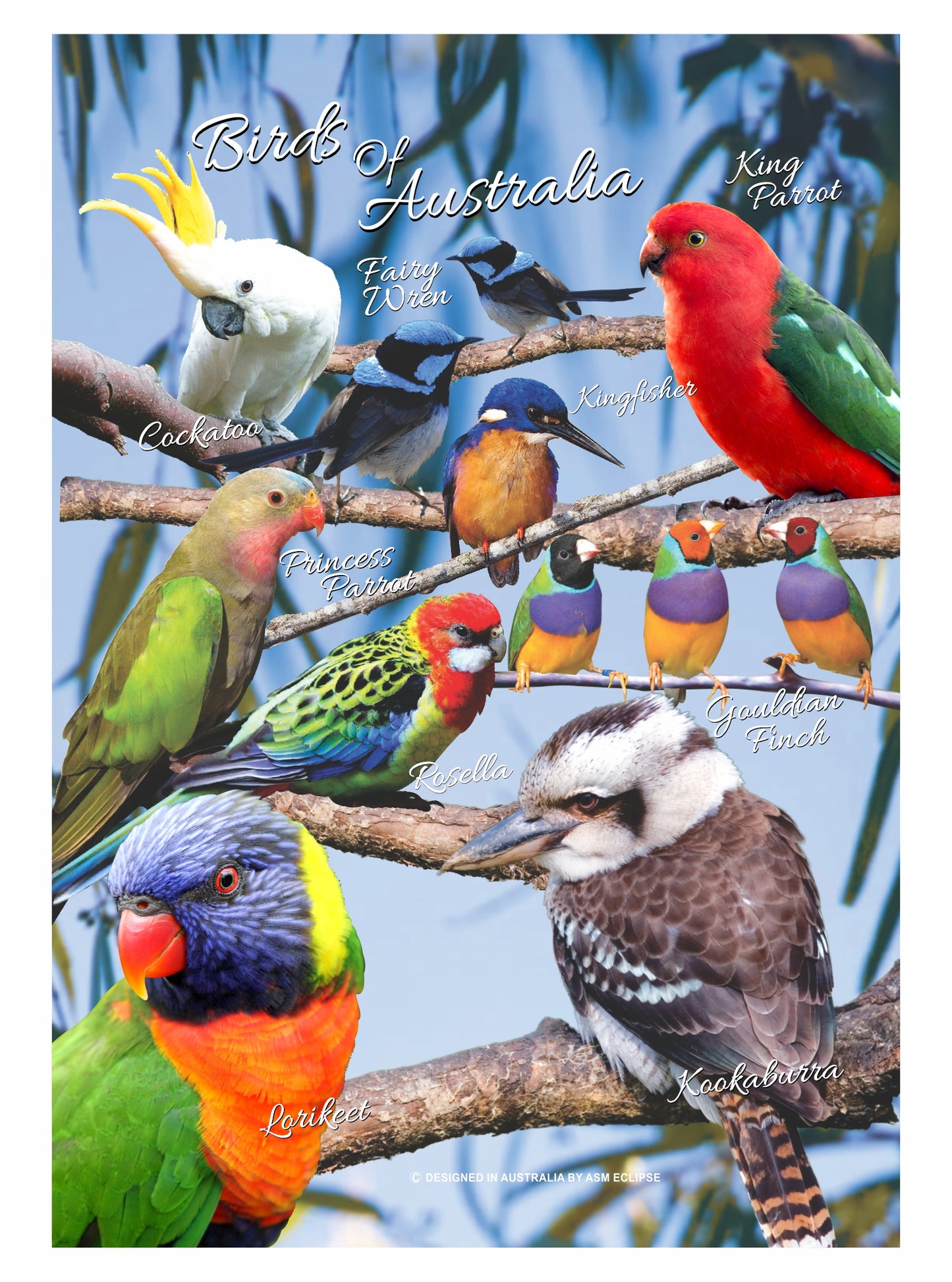 Microfibre Teatowels Australian Designs