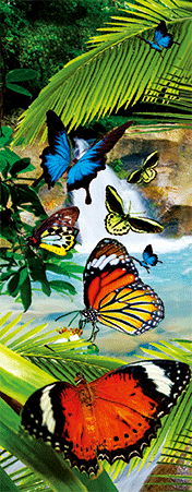 Pack of 5 x 3D Bookmarks LENTICULAR Book Marks Aussie Australian Theme Animals Souvenirs - fair-dinkum-gifts