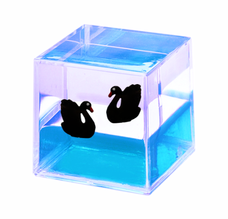Oily Water Cubes Aussie Gifts Souvenirs Paperweights Coloured Liquid with Floaters - fair-dinkum-gifts