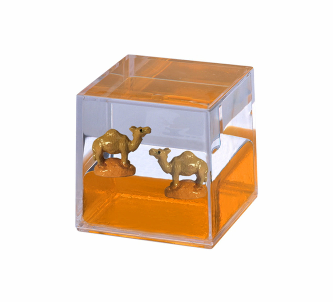 Oily Water Cubes Aussie Gifts Souvenirs Paperweights Coloured Liquid with Floaters - fair-dinkum-gifts