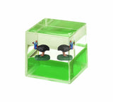 Oily Water Cubes Aussie Gifts Souvenirs Paperweights Coloured Liquid with Floaters - fair-dinkum-gifts