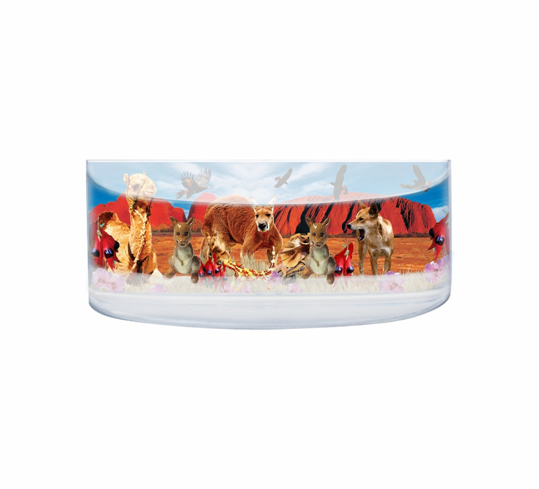 Oily Rectangular Curved Magnets Aussie Designs Australian Animals Gifts - fair-dinkum-gifts