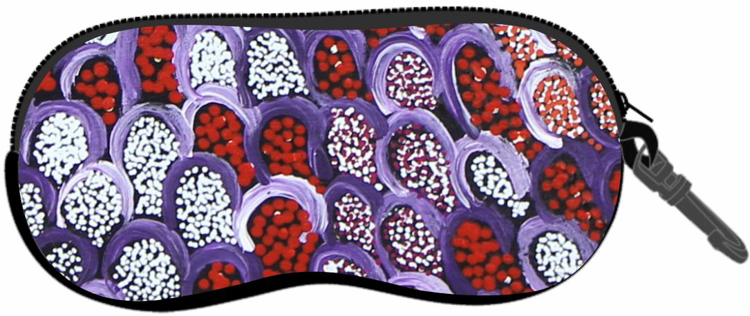 Gari Dari Glasses Cases Aboriginal Designs