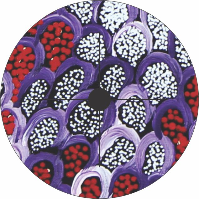 Gari Dari Wine Glass Base Cover