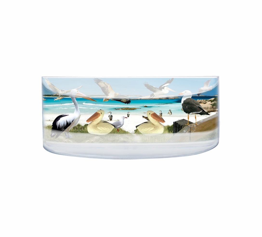 Oily Rectangular Curved Magnets Aussie Designs Australian Animals Gifts - fair-dinkum-gifts
