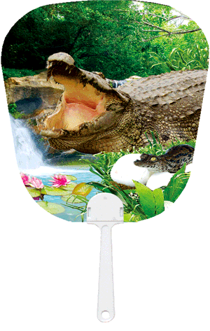 3D Fan Aussie Animals Australian Themes Souvenir Fans - fair-dinkum-gifts