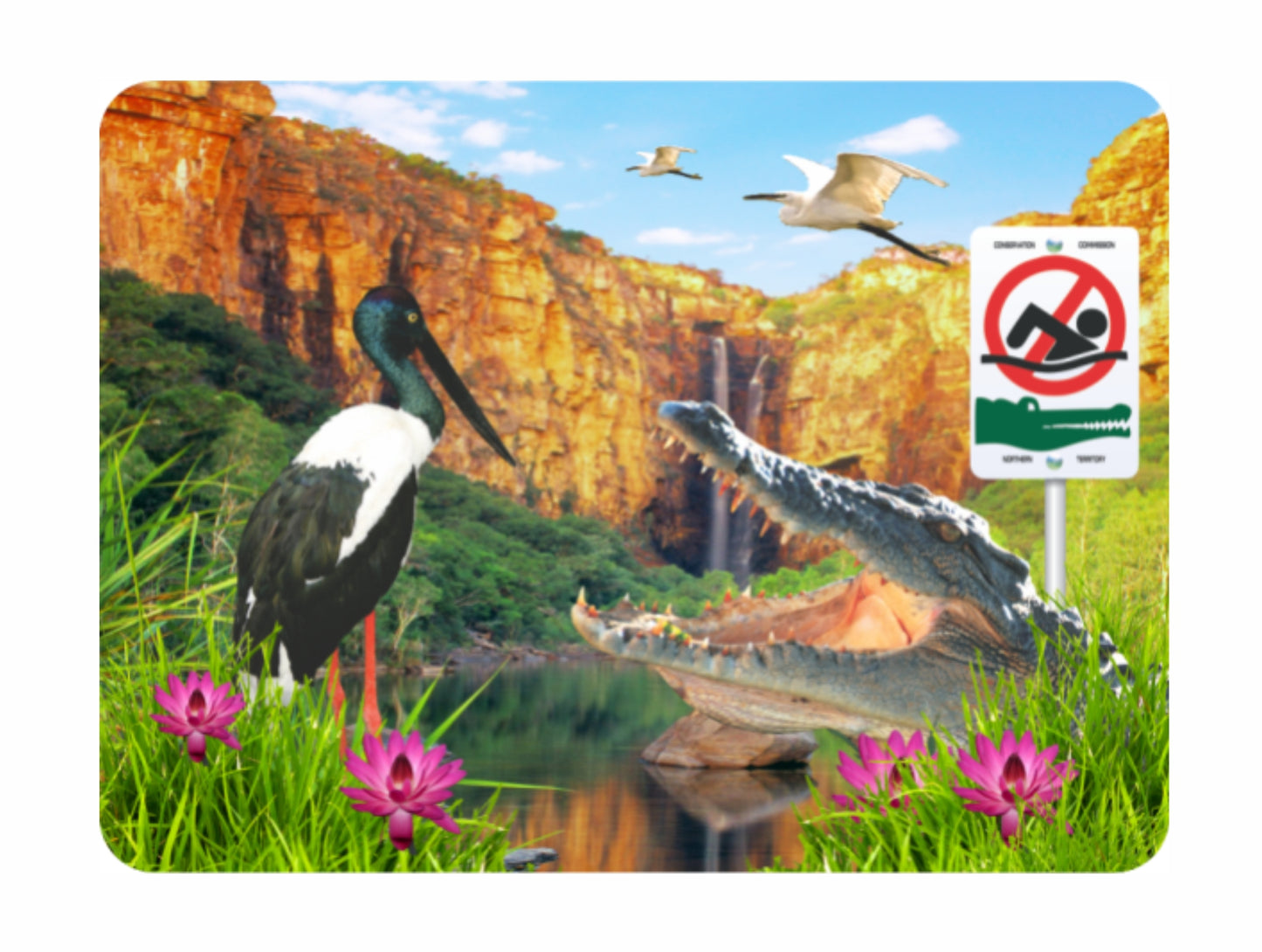 3D Placemats Pack of 2 Australia 3D Lenticular Printed Aussie Animals Wildlife Designs - fair-dinkum-gifts