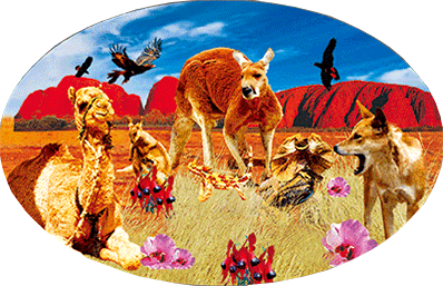 3D Oval Sticker Aussie Animals Australian Souvenirs Lenticular Bumper Stickers - fair-dinkum-gifts