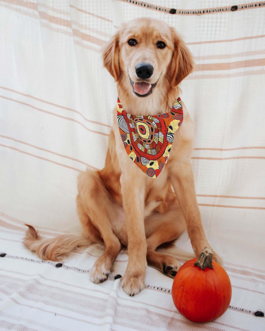 Doggie Bandanas - Gari Dari Designs