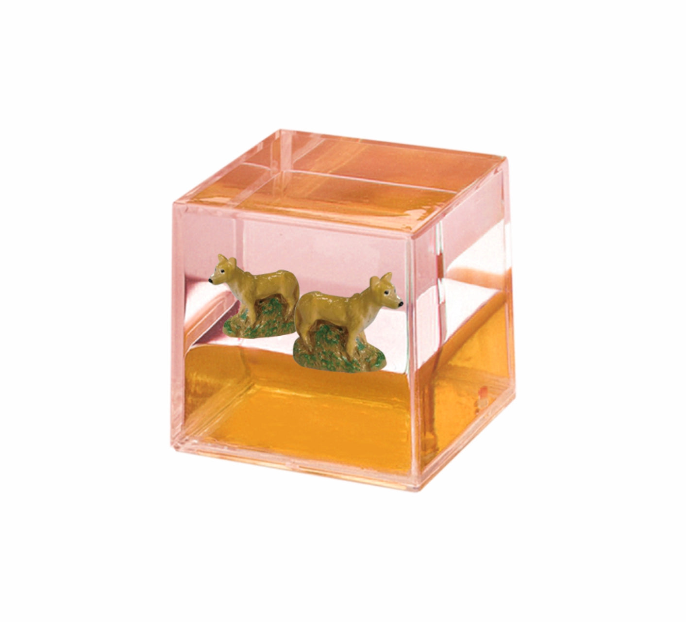 Oily Water Cubes Aussie Gifts Souvenirs Paperweights Coloured Liquid with Floaters - fair-dinkum-gifts