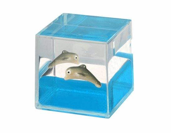 Oily Water Cubes Aussie Gifts Souvenirs Paperweights Coloured Liquid with Floaters - fair-dinkum-gifts