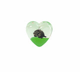 Oily Heart Magnets Aussie Designs Australian Cute Animals Magnetic Gifts - fair-dinkum-gifts