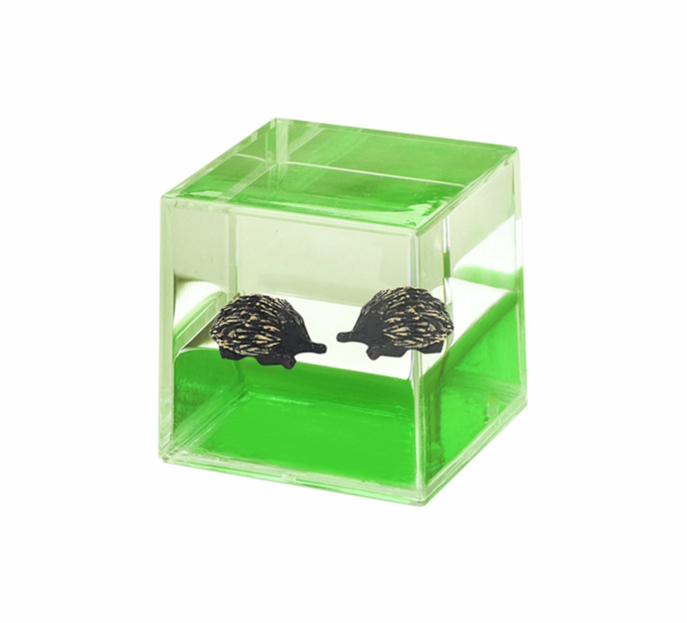 Oily Water Cubes Aussie Gifts Souvenirs Paperweights Coloured Liquid with Floaters - fair-dinkum-gifts