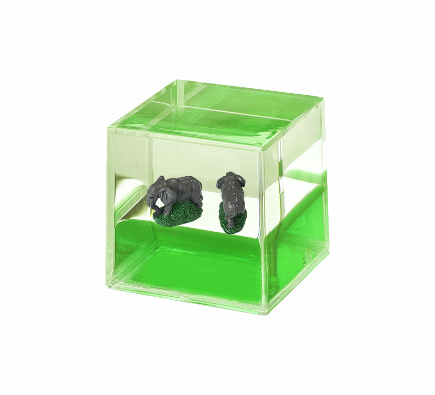 Oily Water Cubes Aussie Gifts Souvenirs Paperweights Coloured Liquid with Floaters - fair-dinkum-gifts