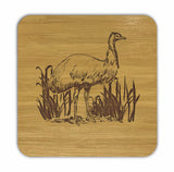 EMU Bamboo Coasters Eco Friendly Set Of 4 Drink Coasters in Box - fair-dinkum-gifts