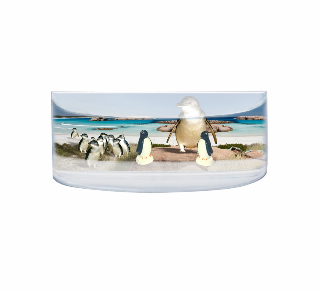Oily Rectangular Curved Magnets Aussie Designs Australian Animals Gifts - fair-dinkum-gifts