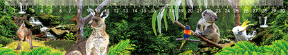 3D Ruler 30cm Aussie Animals Australian Native Designs Lenticular Printed - fair-dinkum-gifts