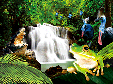 3D Placemats Pack of 2 Australia 3D Lenticular Printed Aussie Animals Wildlife Designs - fair-dinkum-gifts