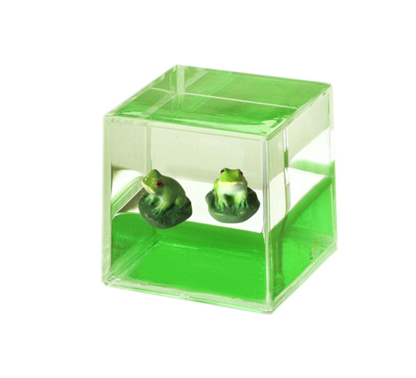 Oily Water Cubes Aussie Gifts Souvenirs Paperweights Coloured Liquid with Floaters - fair-dinkum-gifts