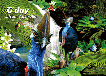 3D Printed Australia Greeting Cards Aussie Australian Souvenirs CLEARANCE - fair-dinkum-gifts