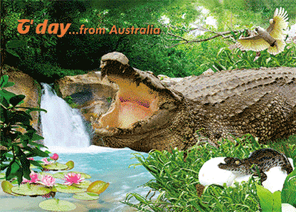 3D Printed Australia Greeting Cards Aussie Australian Souvenirs CLEARANCE - fair-dinkum-gifts