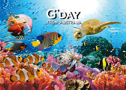 3D Printed Australia Greeting Cards Aussie Australian Souvenirs CLEARANCE - fair-dinkum-gifts