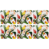 Coasters Multicolour Parrot | Set of 6