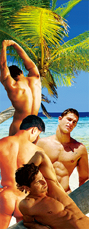 Pack of 5 x 3D Bookmarks LENTICULAR Book Marks Aussie Australian Theme Animals Souvenirs - fair-dinkum-gifts