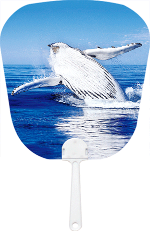 3D Fan Aussie Animals Australian Themes Souvenir Fans - fair-dinkum-gifts