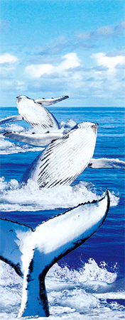 Pack of 5 x 3D Bookmarks LENTICULAR Book Marks Aussie Australian Theme Animals Souvenirs - fair-dinkum-gifts