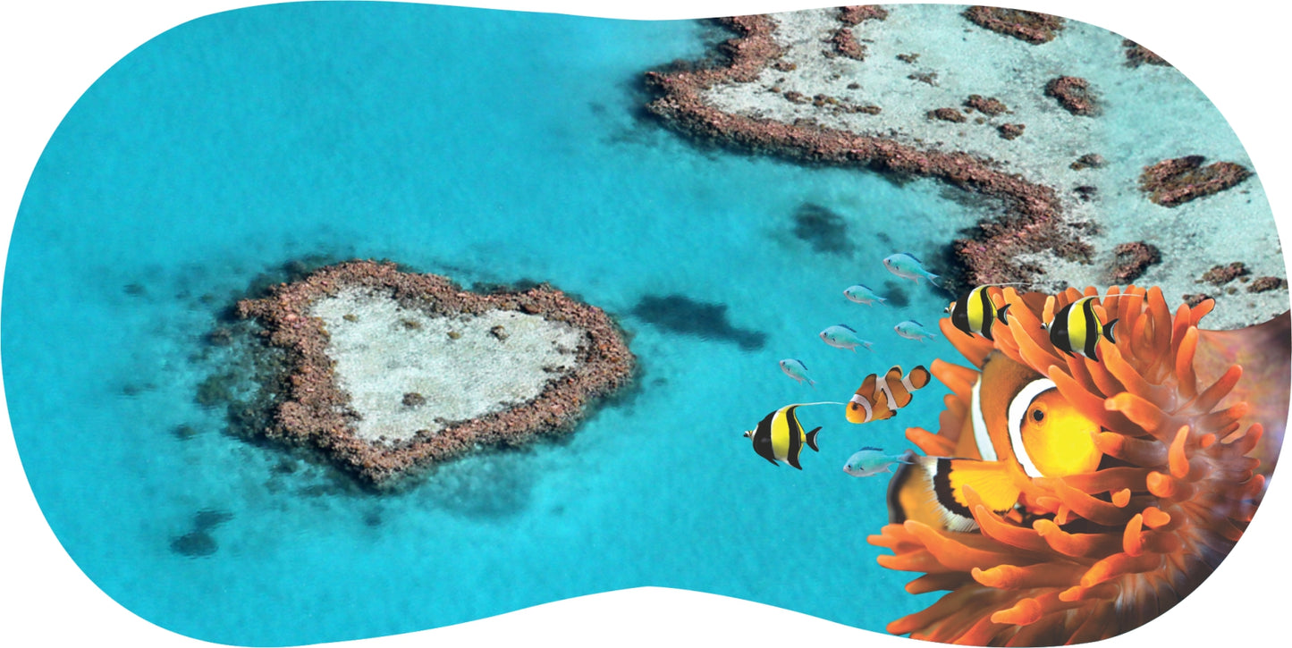 Glasses Case Neoprene w/Belt Clip Aussie Designs Australian Themes Animals Souvenirs