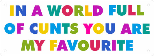 Number Plate - In A World Full Of Cunts You Are My Favourite