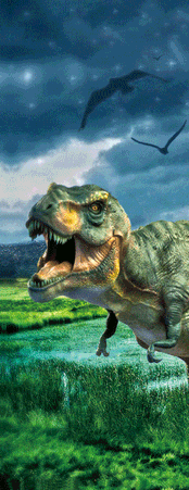 Pack of 5 x 3D Bookmarks LENTICULAR Book Marks Aussie Australian Theme Animals Souvenirs - fair-dinkum-gifts