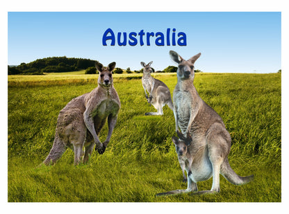 Microfibre Teatowels Australian Designs