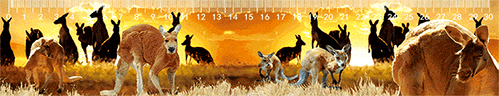 3D Ruler 30cm Aussie Animals Australian Native Designs Lenticular Printed - fair-dinkum-gifts
