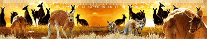 3D Ruler 30cm Aussie Animals Australian Native Designs Lenticular Printed - fair-dinkum-gifts