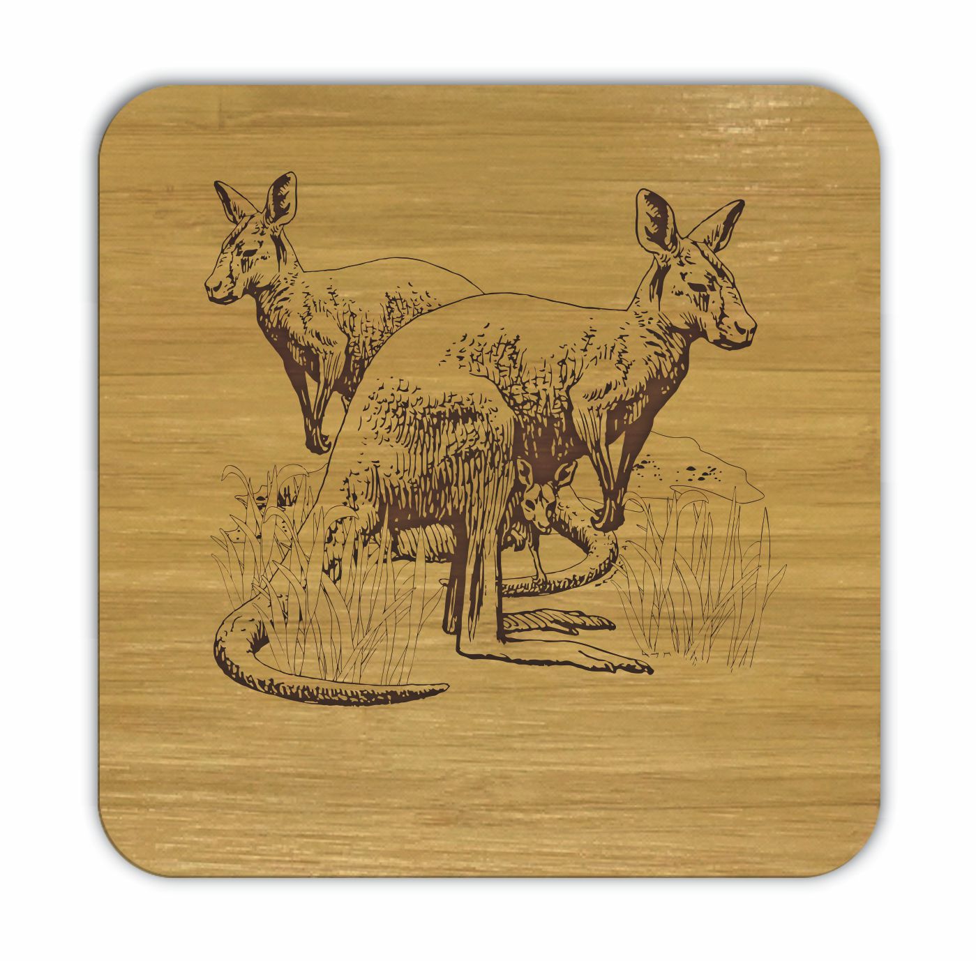 KANGAROOS Bamboo Coasters Eco Friendly Set Of 4 Drink Coasters in Box - fair-dinkum-gifts