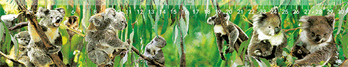 3D Ruler 30cm Aussie Animals Australian Native Designs Lenticular Printed - fair-dinkum-gifts