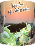 KOALA NURSERY Mug Cup 300ml Gift Native Aussie Australia Animal Wildlife Birds Baby Koalas Joeys - fair-dinkum-gifts