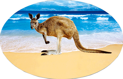 3D Oval Sticker Aussie Animals Australian Souvenirs Lenticular Bumper Stickers - fair-dinkum-gifts