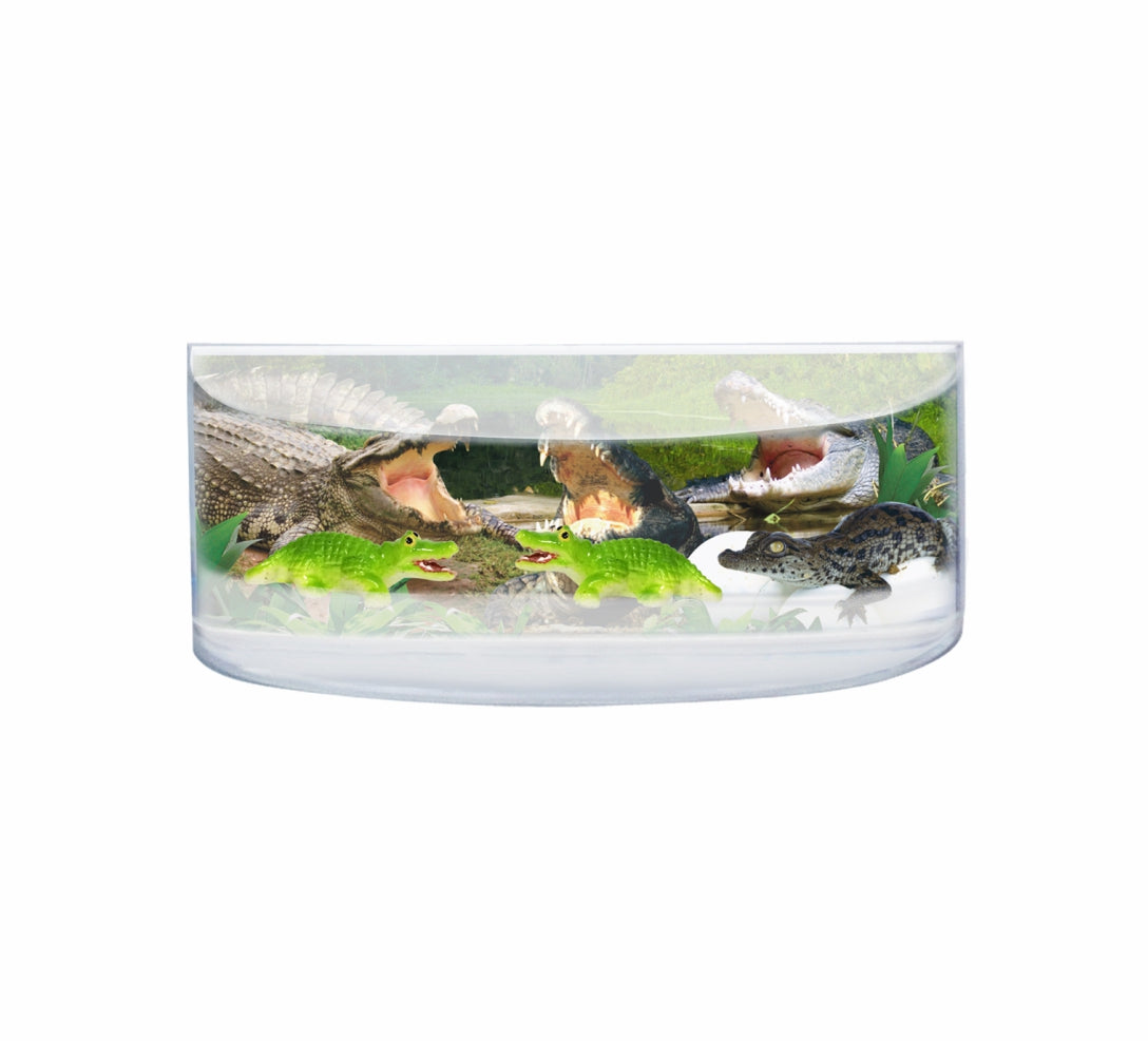 Oily Rectangular Curved Magnets Aussie Designs Australian Animals Gifts - fair-dinkum-gifts